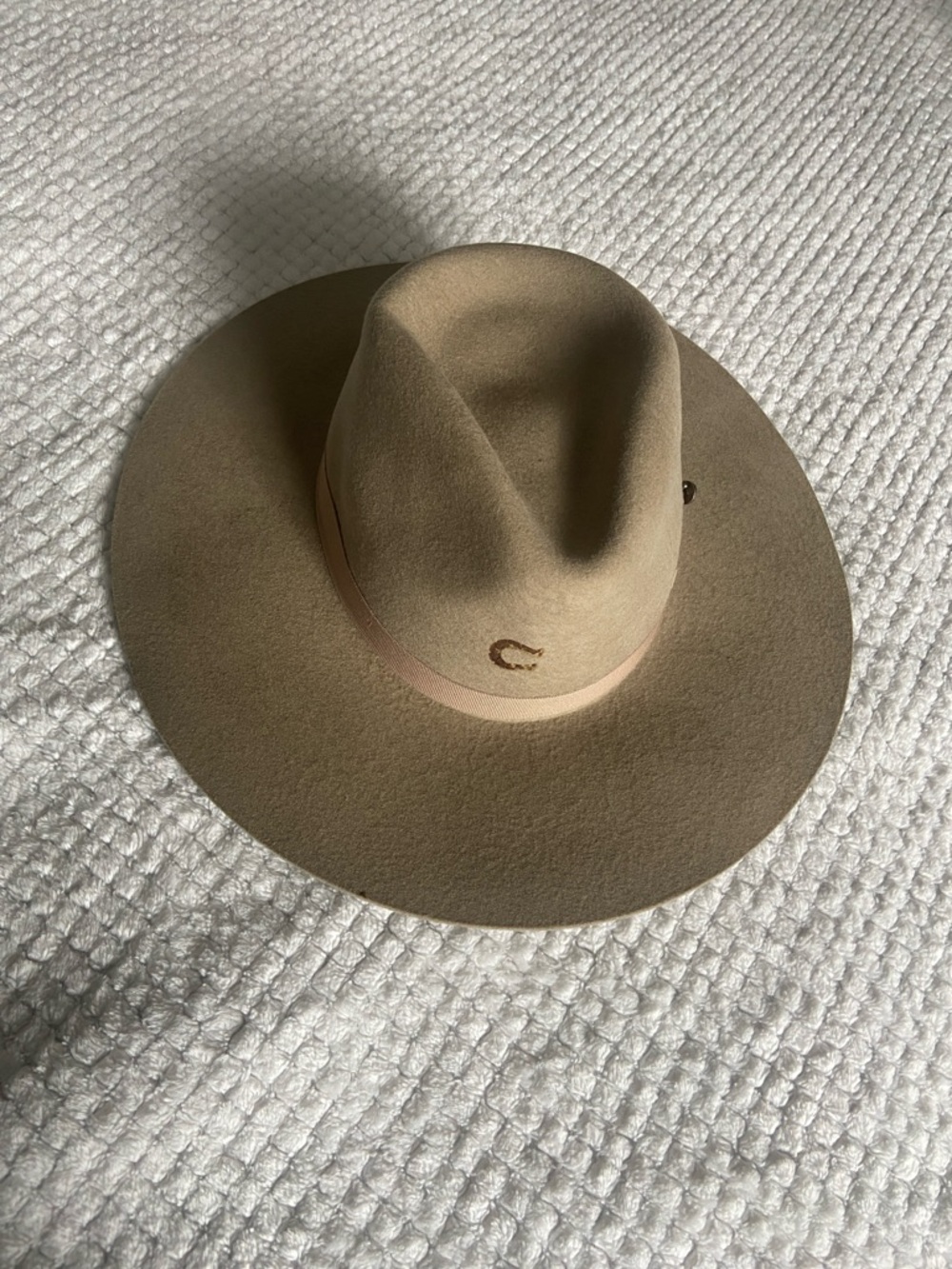 Men's Wide Brim Felt Fedora Hat - Tan